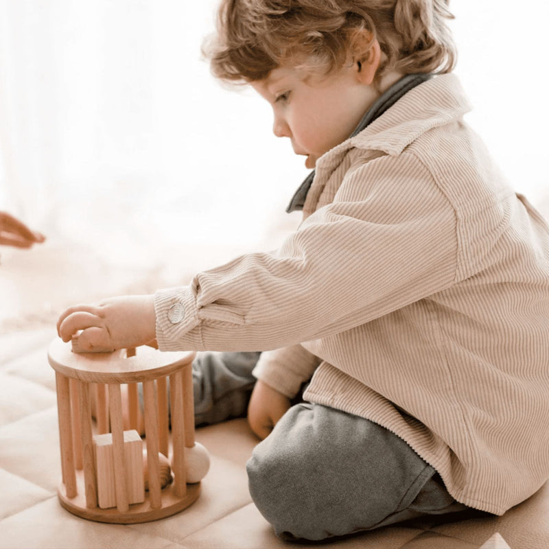 Wooden Toys | Wooden Shape Sorter - Qtoys