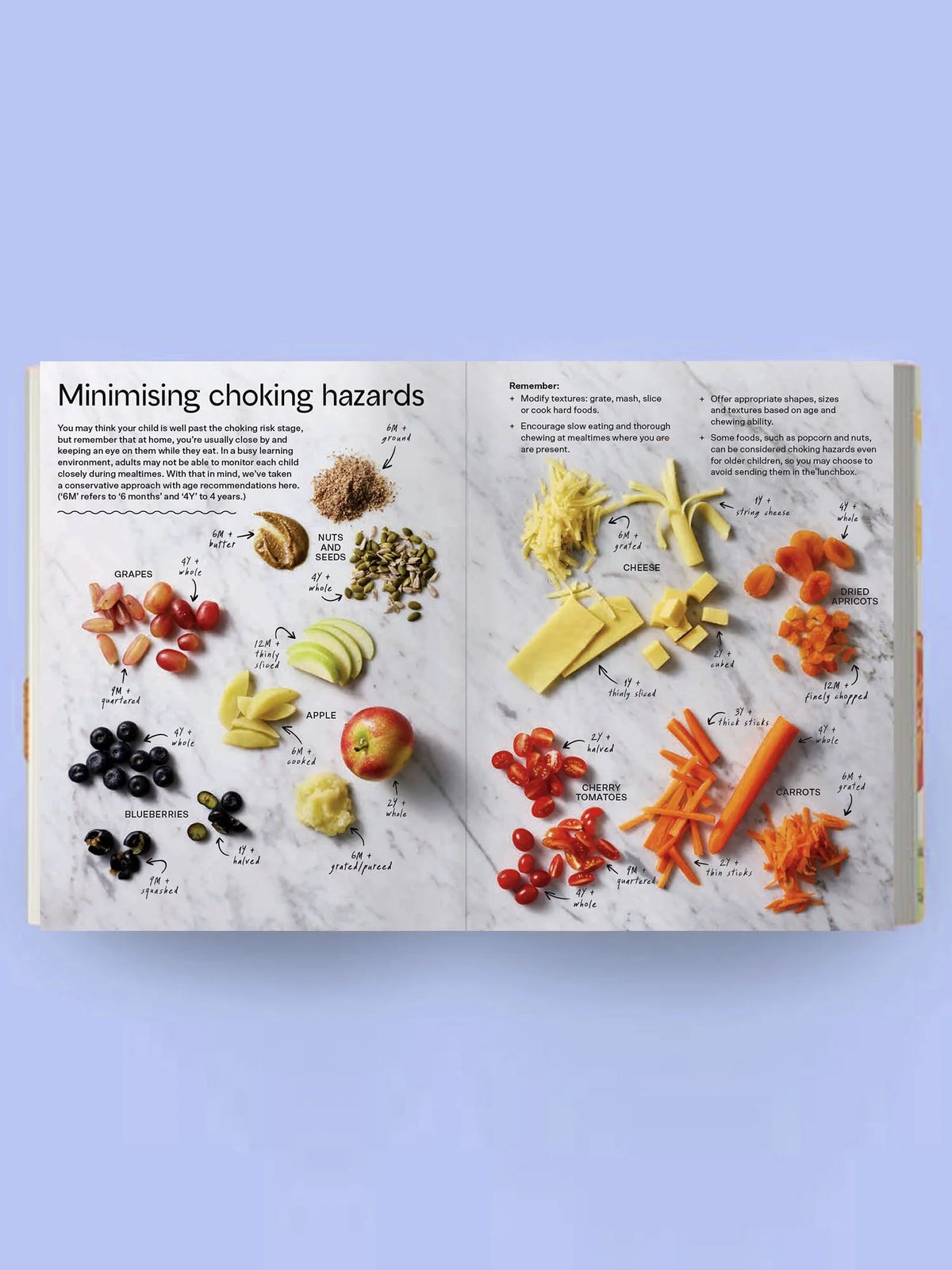 Lunch Box Recipes & Healthy Lunchbox Options | Lunchbox BibleBook by Baby Food Bible