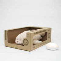 Moonie Bear | Organic Humming Seal with Night Light - Sand