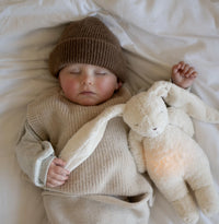 Moonie Bunny | Polar