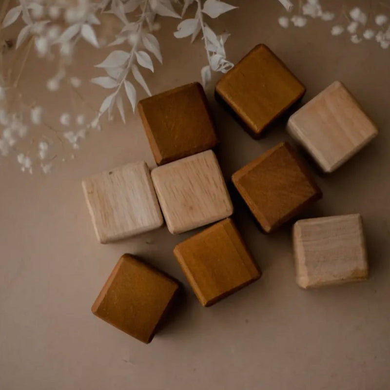 Wooden Blocks | Qtoys | My first block set -Natural